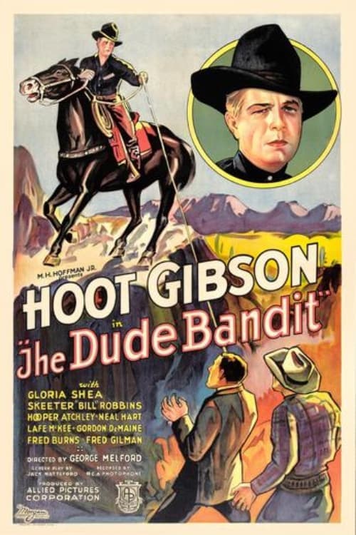 The Dude Bandit poster