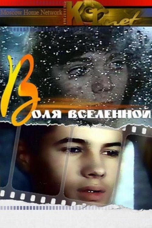 Воля вселенной poster