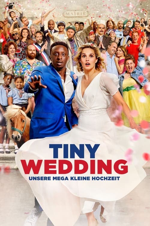 Tiny Wedding - Unsere mega kleine Hochzeit poster