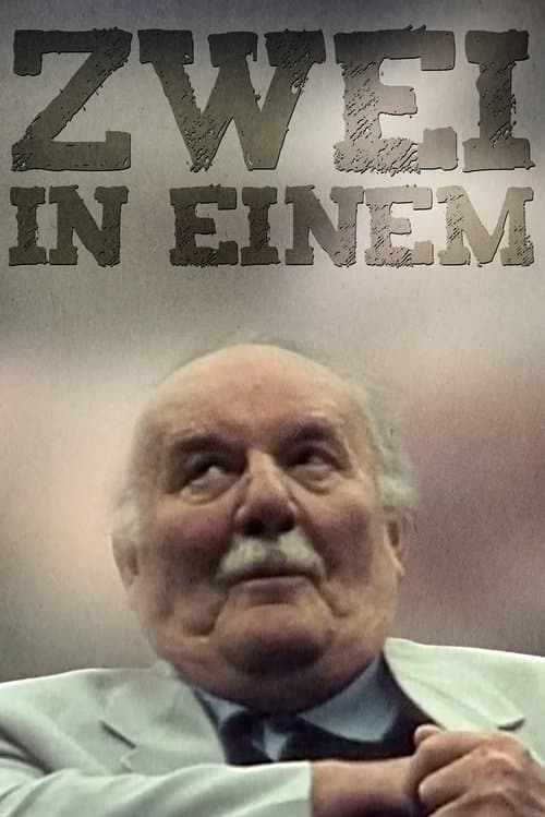 Zwei in einem poster