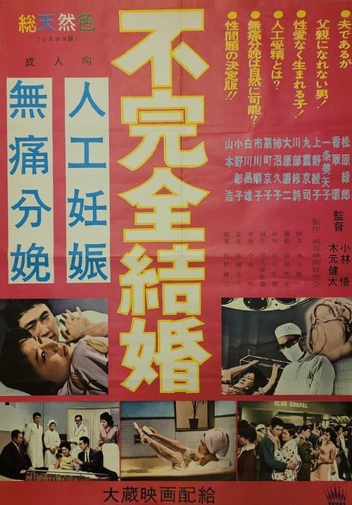 不完全結婚 poster