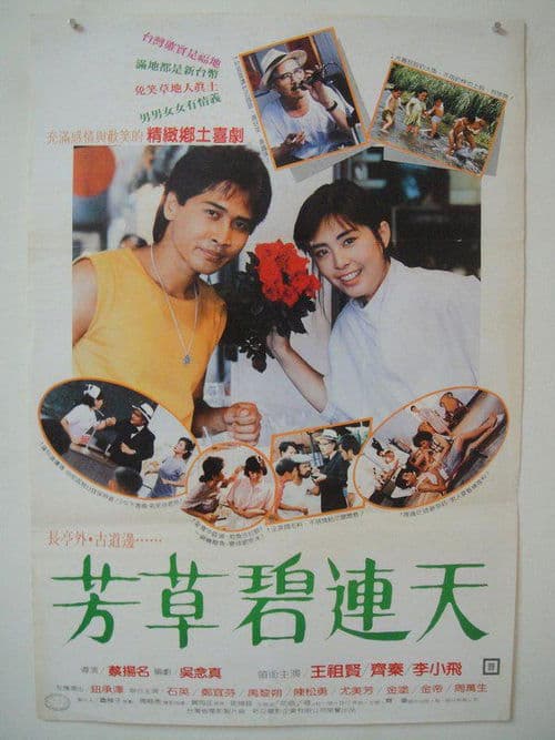 芳草碧連天 poster