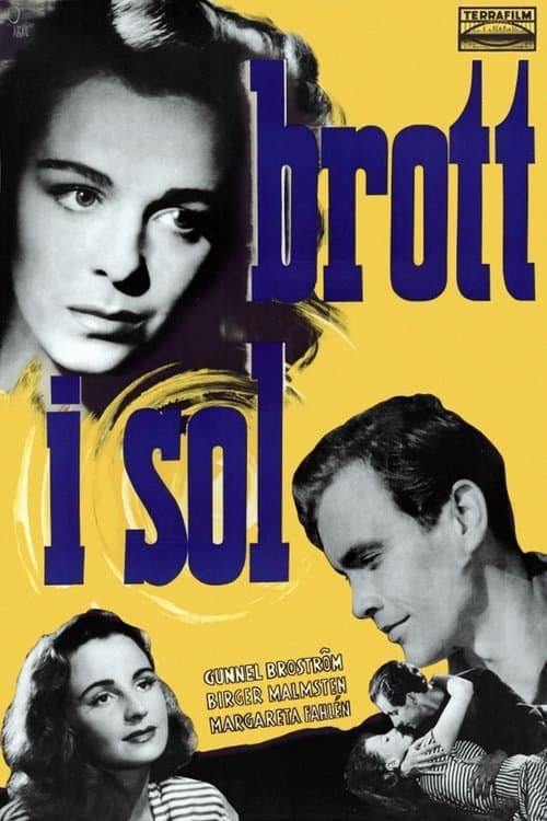 Brott i sol poster