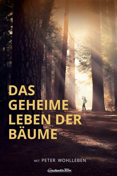 Das geheime Leben der Bäume poster