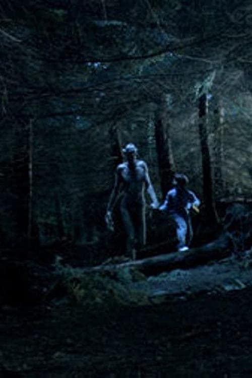 Ordan's Forest poster
