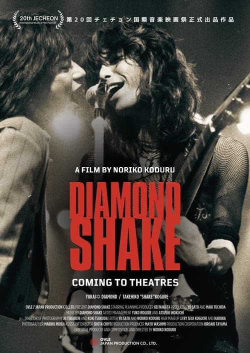 DIAMOND SHAKE poster