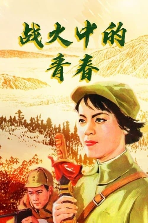 战火中的青春 poster
