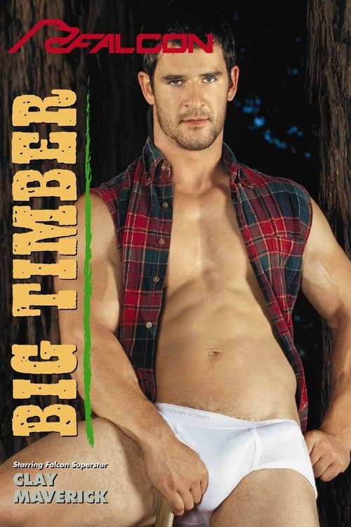 Big Timber poster