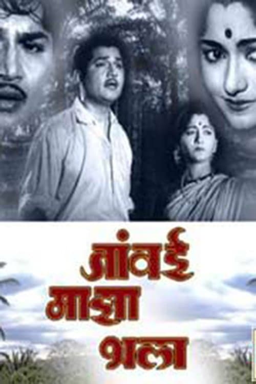 जावई माझा भला poster