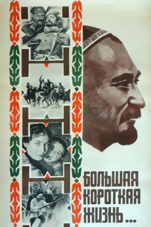Большая короткая жизнь poster