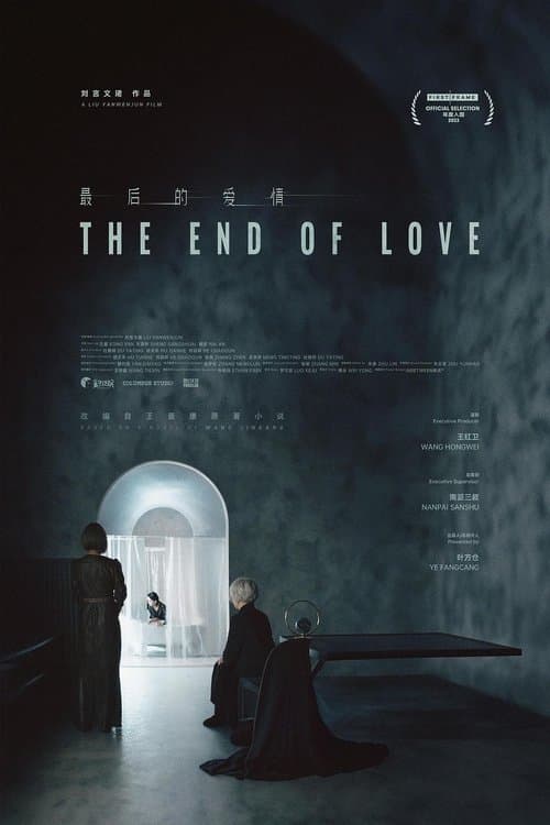 最后的爱情 poster