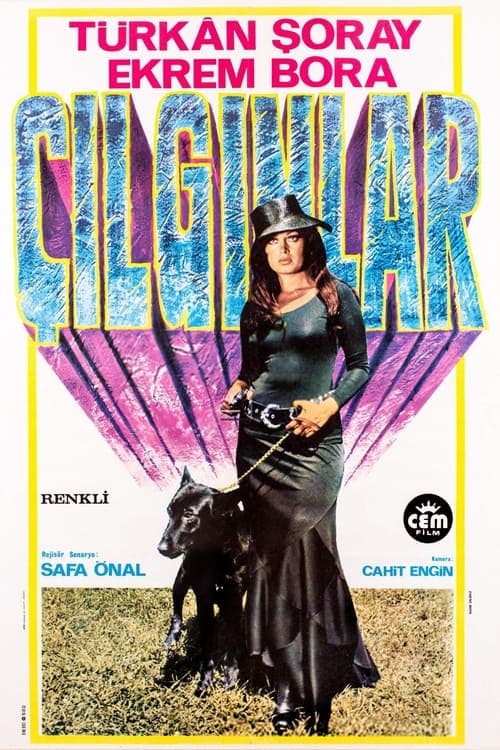 Çılgınlar poster