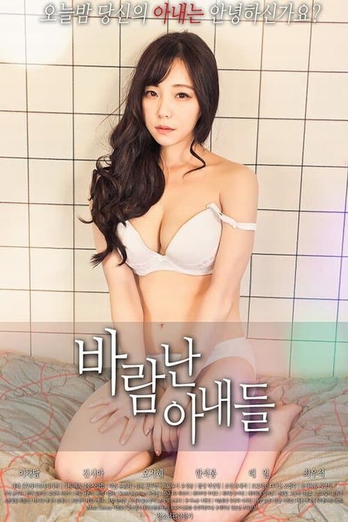 바람난 아내들 poster