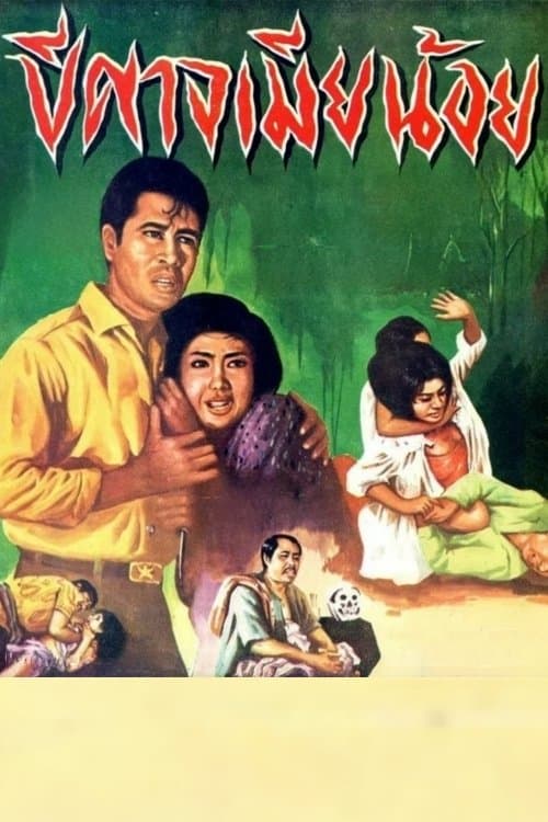 ปีศาจเมียน้อย poster
