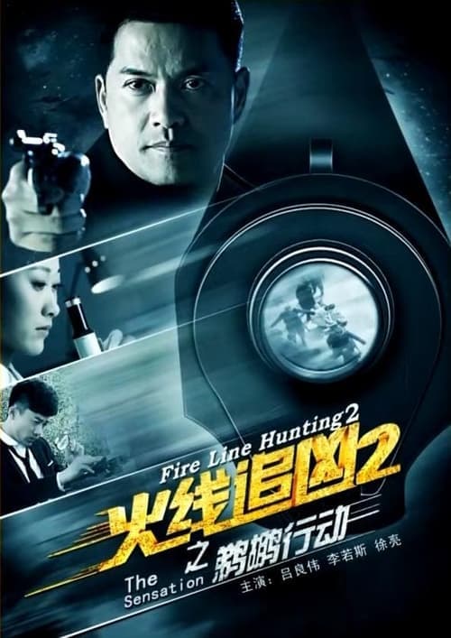 火线追凶2之鹈鹕行动 poster