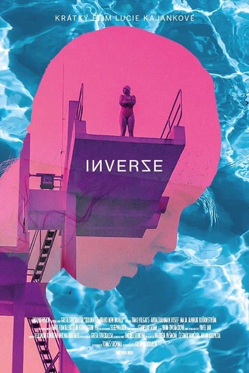 Inverze poster
