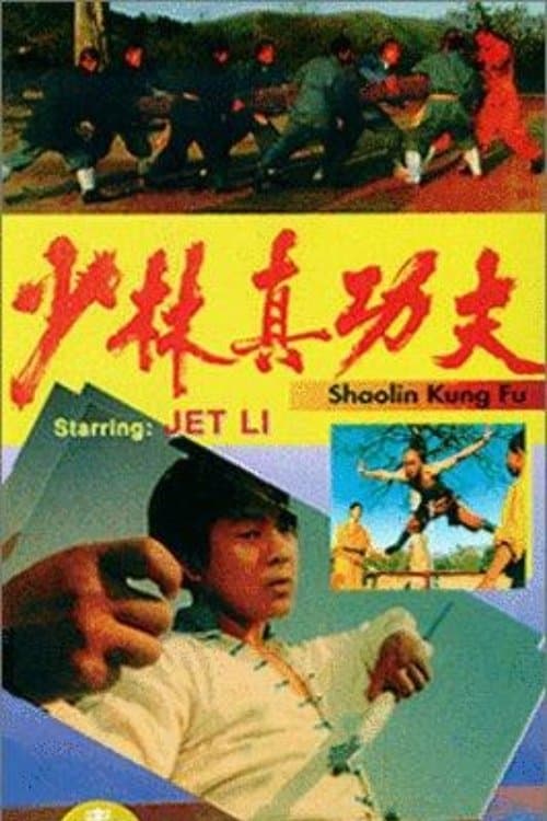 少林真功夫 poster