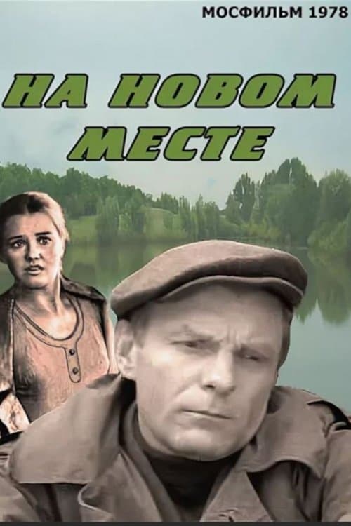 На новом месте poster