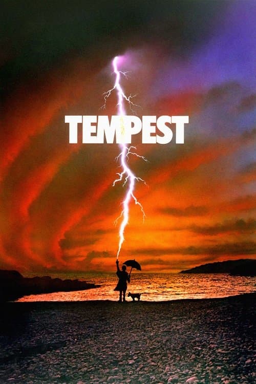 Der Sturm poster