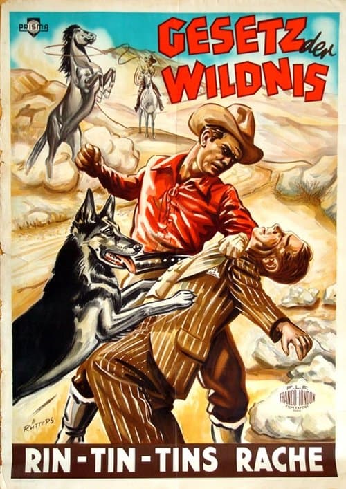 Gesetz der Wildnis poster