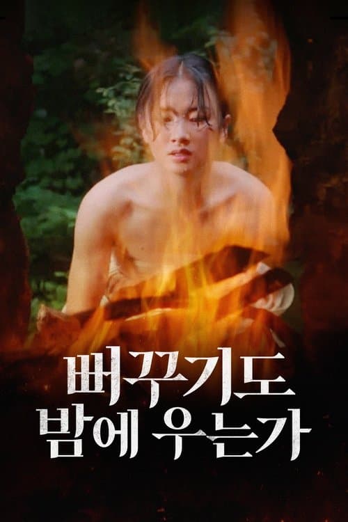 뻐꾸기도 밤에 우는가 poster
