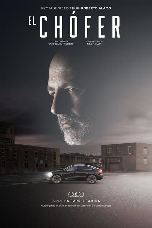 El Chofer poster