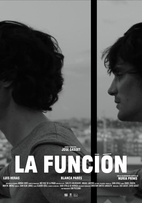 La Función poster