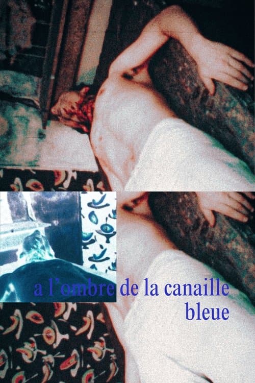 Im Schatten der blauen Kanaille poster