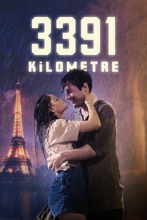 3391 Kilometer poster