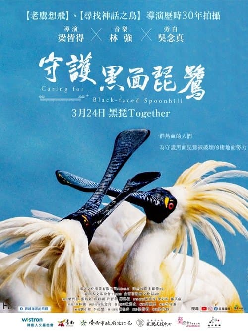 守護黑面琵鷺 poster
