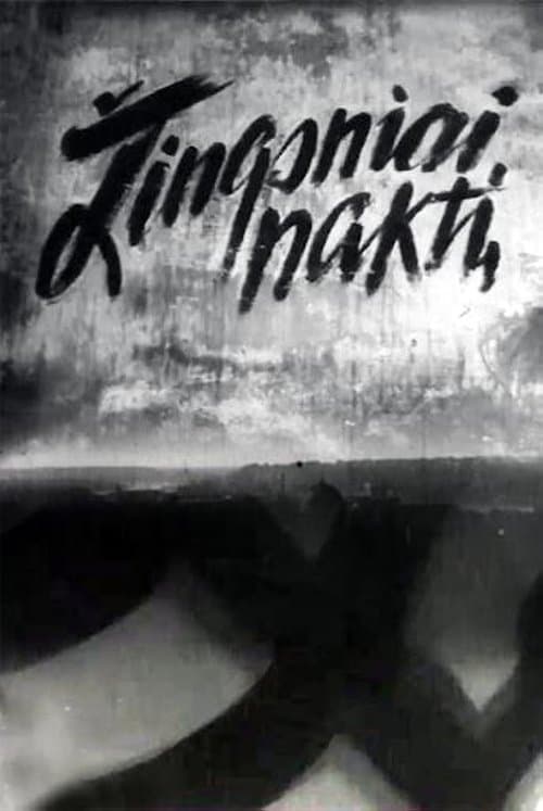 Žingsniai naktį poster