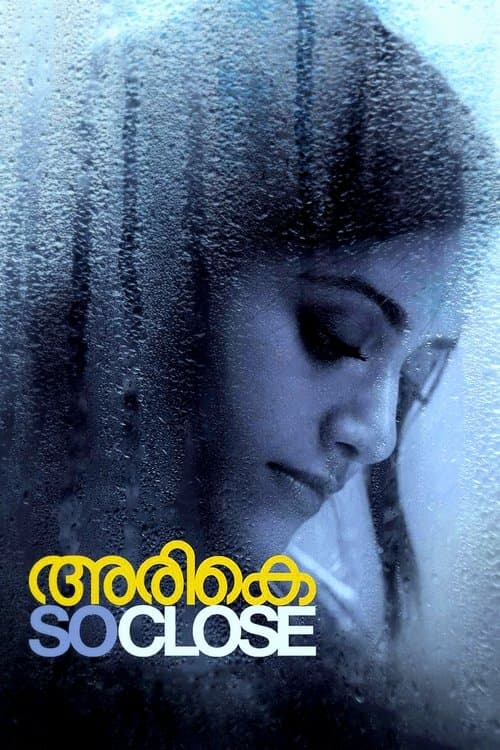 അരികെ poster