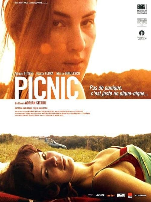 Picknick poster