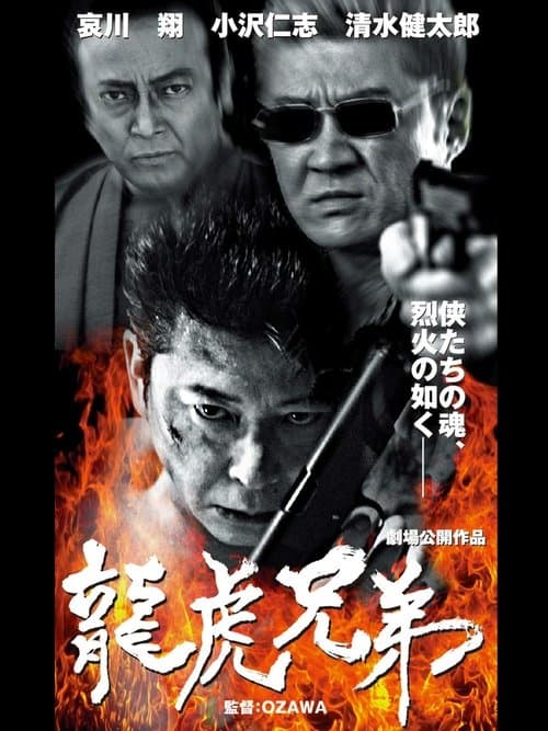 龍虎兄弟 poster