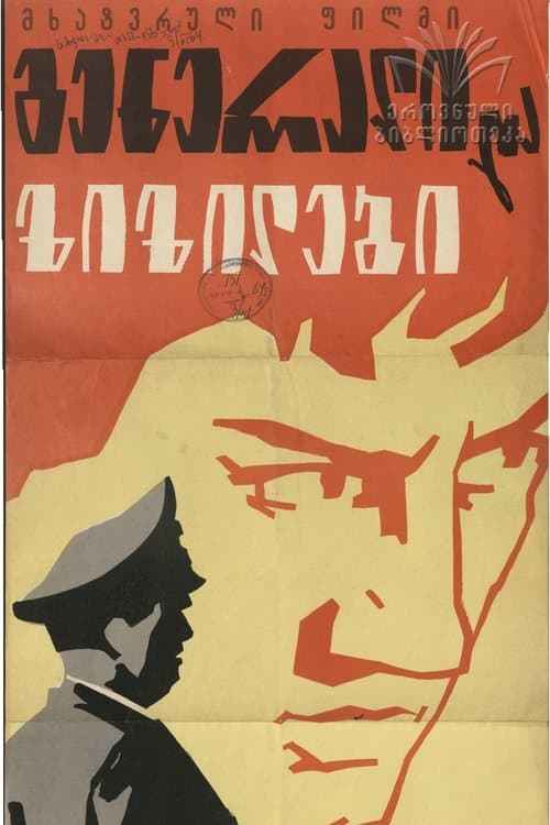 გენერალი და ზიზილები poster