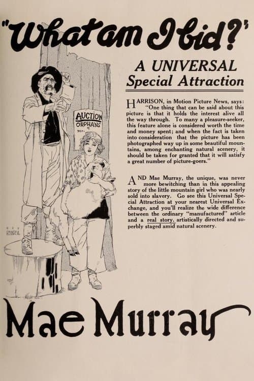 What Am I Bid? poster