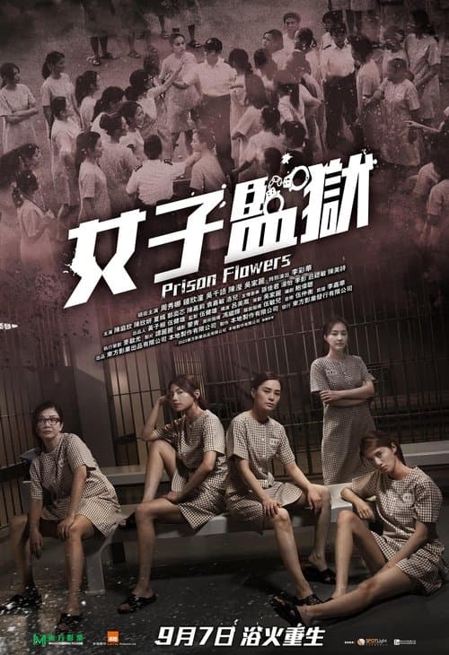 女子監獄 poster