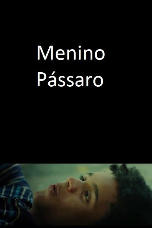 Menino Pássaro poster