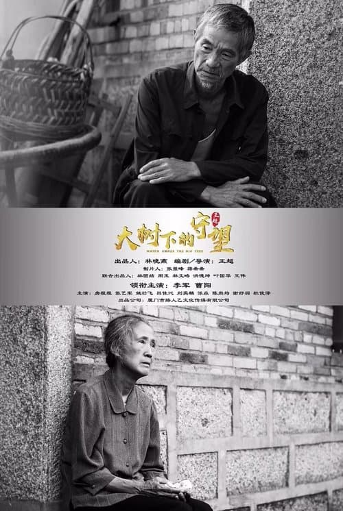 大树下的守望 poster