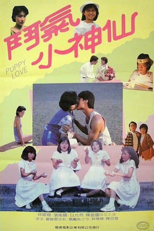 鬥氣小神仙 poster