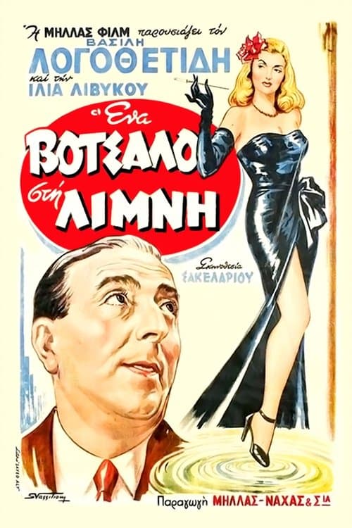 Ένα Βότσαλο στη Λίμνη poster