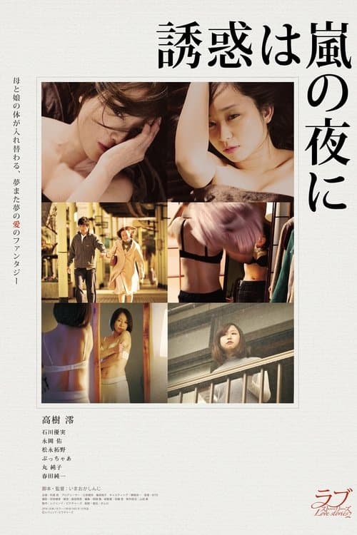 誘惑は嵐の夜に poster