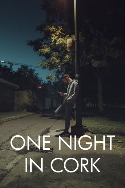 One Night in Cork poster