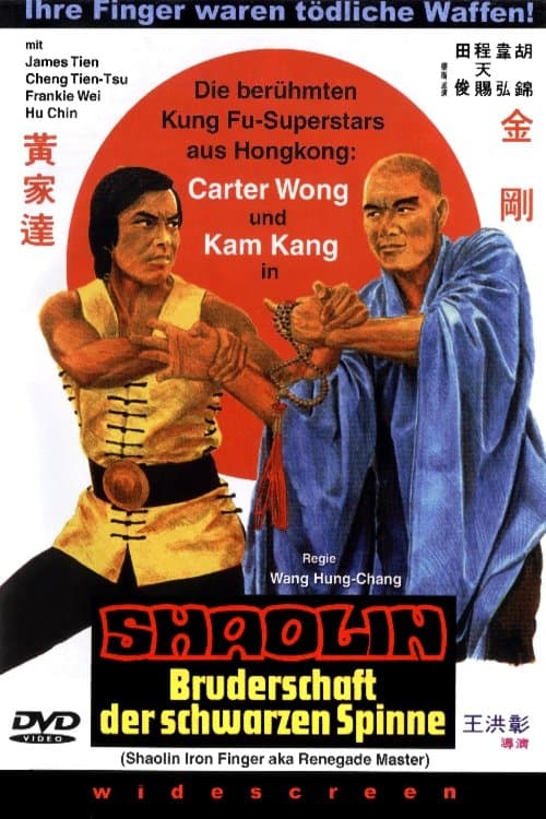 Shaolin Bruderschaft der schwarzen Spinne poster