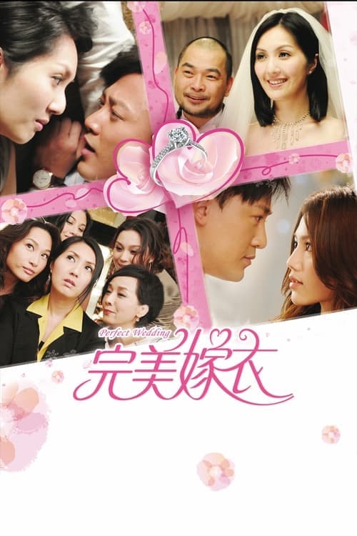 抱抱俏佳人 poster