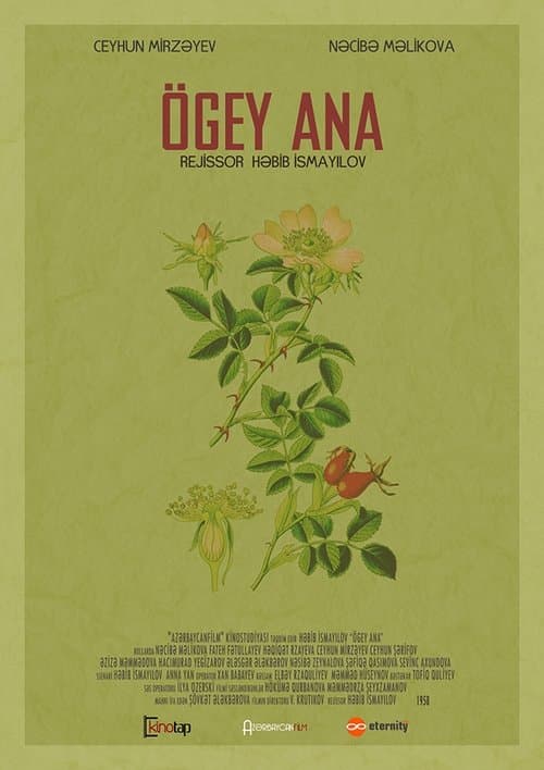 Ögey Ana poster