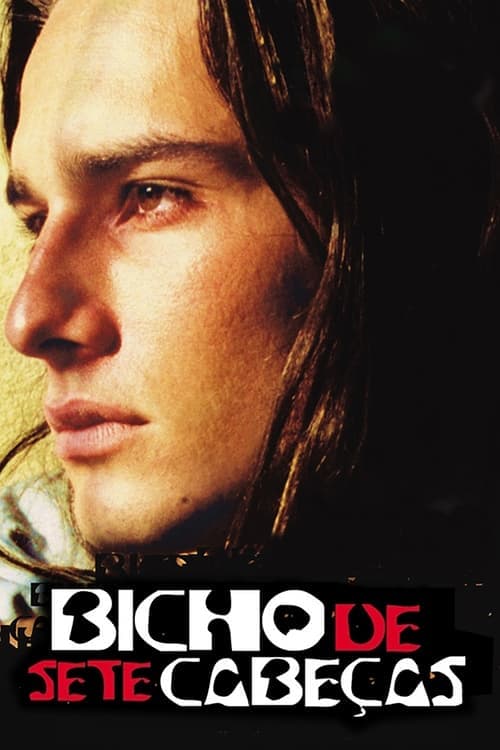 Bicho de Sete Cabeças poster