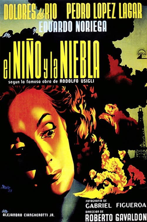 El niño y la niebla poster