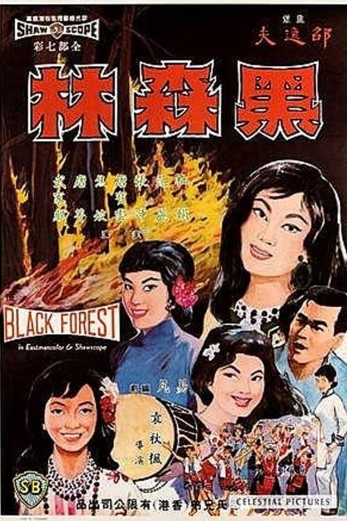 黑森林 poster