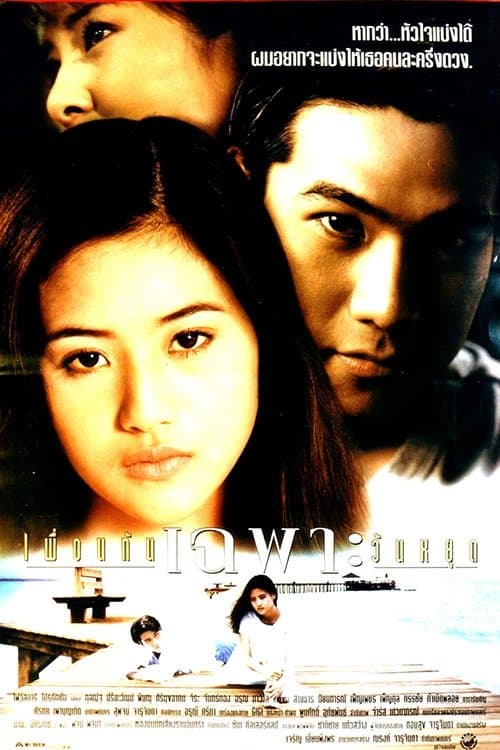 เพื่อนกันเฉพาะวันหยุด poster